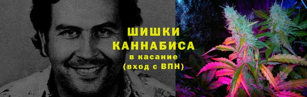 стафф Балахна