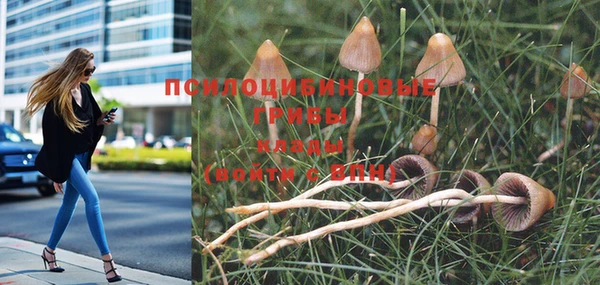 не бодяженный Аркадак